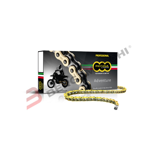 CATENA REGINA TRASMISSIONE PER MOTO 525 ZRE 112 MAGLIE SIGILLATA CON Z-RING