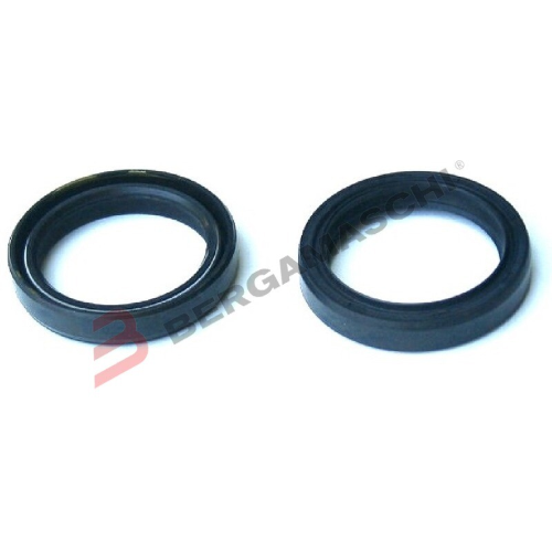 KIT PARAOLI FORCELLE 43X55X9,5/10,5 DOPPIA MOLLA TOURMAX PER HONDA VFR 1200