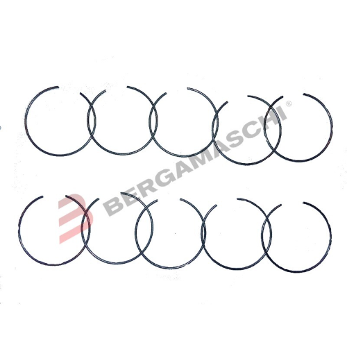 ANELLI ELASTICI DI TENUTA PER PARAOLI FORCELLE 1,6X58MM BLISTER 10PZ TOURMAX