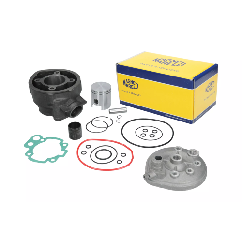 GRUPPO TERMICO ELABORAZIONE MINARELLI AM6 D.47