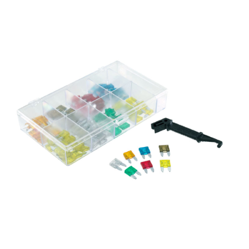 KIT 100 FUSIBILI LAMELLARI MINI RMS