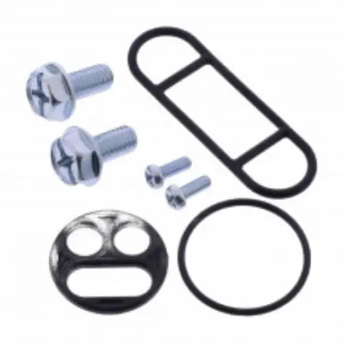 724.39.91   KIT REVISIONE RUBINETTO BENZINA V839300420