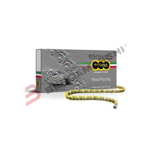 CATENA REGINA TRASMISSIONE PER MOTO 415 GP4 146 MAGLIE 90GP4/1017 NON SIGILLATA